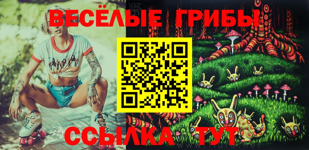 Сорочинск  Псилоцибиновые грибы ЛСД  Вход с VPN  Псилоцибиновые грибы прущие грибы 